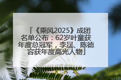 《乘风2025》成团名单公布：62岁叶童获年度总冠军，李晟、陈德容获年度高光人物
