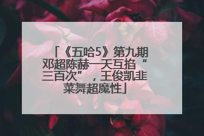《五哈5》第九期邓超陈赫一天互掐“三百次”，王俊凯韭菜舞超魔性