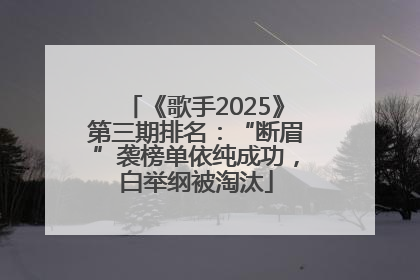 《歌手2025》第三期排名：“断眉”袭榜单依纯成功，白举纲被淘汰