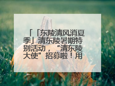 「东陵清风消夏季」清东陵暑期特别活动，“清东陵大使”招募啦！用你的热爱守护世界遗产！