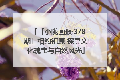 「小陇画报·378期」相约镇原 探寻文化瑰宝与自然风光