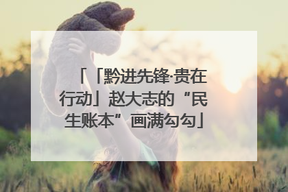 「黔进先锋·贵在行动」赵大志的“民生账本”画满勾勾