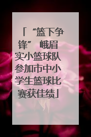 “篮下争锋” 峨眉实小篮球队参加市中小学生篮球比赛获佳绩