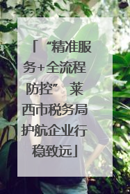 “精准服务+全流程防控” 莱西市税务局护航企业行稳致远