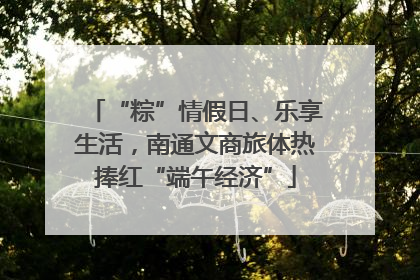 “粽”情假日、乐享生活，南通文商旅体热捧红“端午经济”