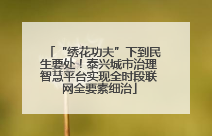 “绣花功夫”下到民生要处！泰兴城市治理智慧平台实现全时段联网全要素细治