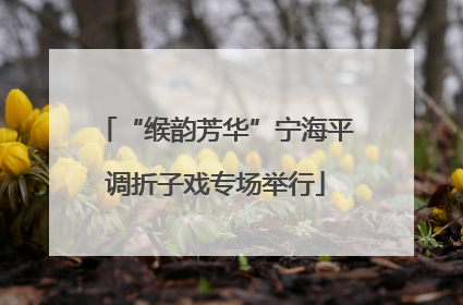 “缑韵芳华”宁海平调折子戏专场举行