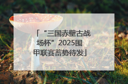 “三国赤壁古战场杯”2025围甲联赛蓄势待发