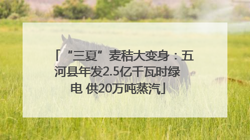 “三夏”麦秸大变身：五河县年发2.5亿千瓦时绿电 供20万吨蒸汽