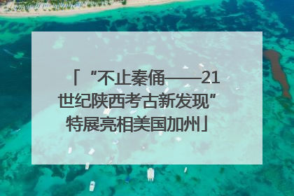 “不止秦俑——21世纪陕西考古新发现”特展亮相美国加州