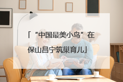 “中国最美小鸟”在保山昌宁筑巢育儿