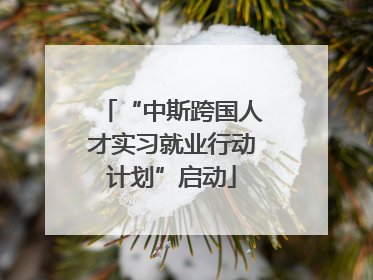 “中斯跨国人才实习就业行动计划”启动