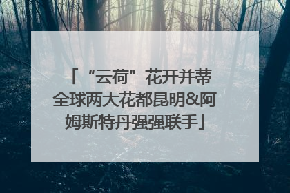 “云荷”花开并蒂 全球两大花都昆明&阿姆斯特丹强强联手
