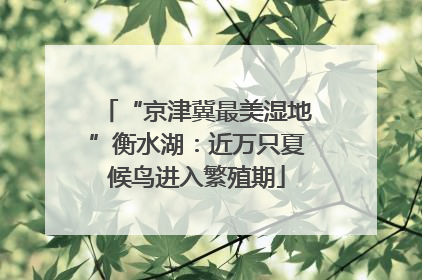 “京津冀最美湿地”衡水湖：近万只夏候鸟进入繁殖期