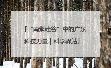 “南繁硅谷”中的广东科技力量｜科学驿站