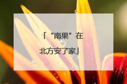“南果”在北方安了家