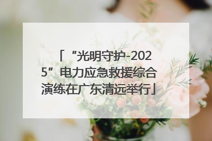 “光明守护-2025”电力应急救援综合演练在广东清远举行