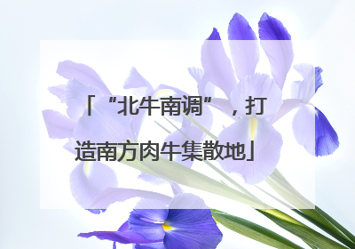 “北牛南调”，打造南方肉牛集散地