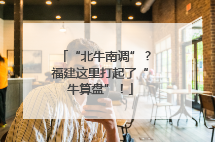 “北牛南调”？福建这里打起了“牛算盘”！