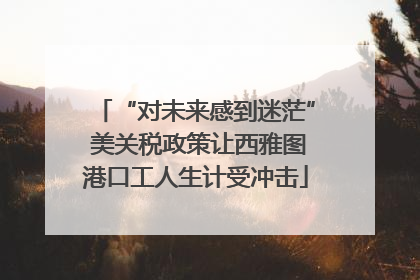 “对未来感到迷茫” 美关税政策让西雅图港口工人生计受冲击
