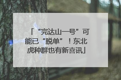 “完达山一号”可能已“脱单”！东北虎种群也有新喜讯