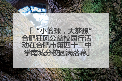 “小篮球，大梦想”合肥狂风公益校园行活动在合肥市第四十二中学南城分校圆满落幕