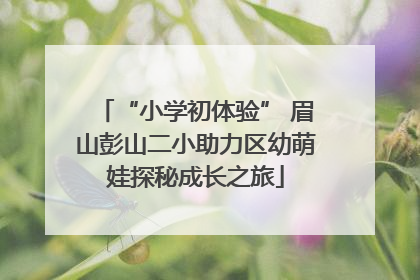 “小学初体验” 眉山彭山二小助力区幼萌娃探秘成长之旅