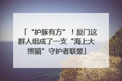 “护豚有方”！厦门这群人组成了一支“海上大熊猫”守护者联盟