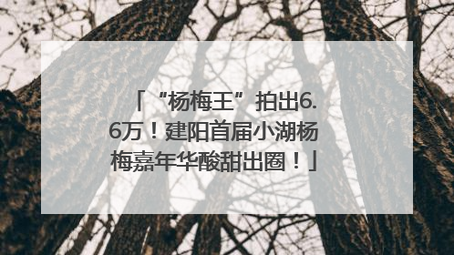 “杨梅王”拍出6.6万！建阳首届小湖杨梅嘉年华酸甜出圈！