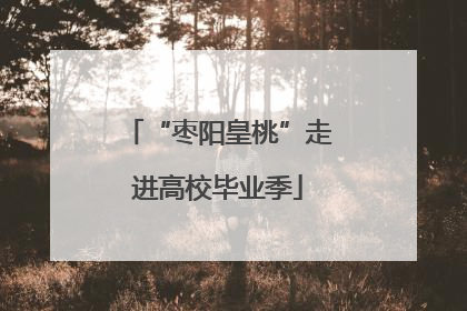 “枣阳皇桃”走进高校毕业季