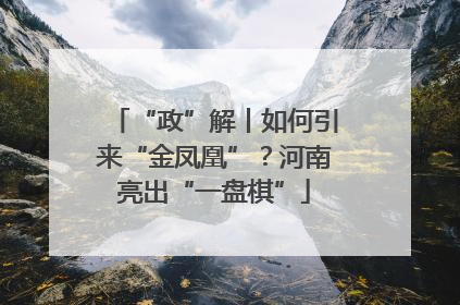“政”解丨如何引来“金凤凰”？河南亮出“一盘棋”