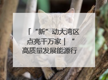 “新”动大湾区 点亮千万家｜“高质量发展能源行”系列报道③