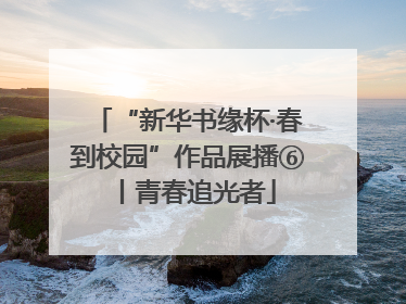 “新华书缘杯·春到校园”作品展播⑥丨青春追光者