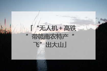 “无人机＋高铁”带赣南农特产“飞”出大山