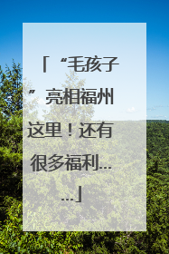 “毛孩子”亮相福州这里！还有很多福利……