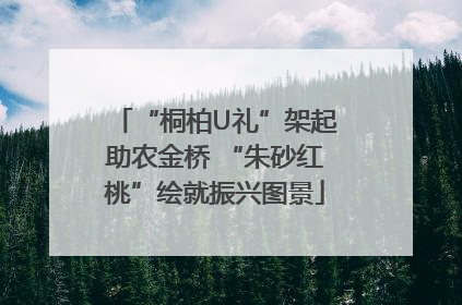 “桐柏U礼”架起助农金桥 “朱砂红桃”绘就振兴图景