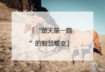 “楚天第一路”的智慧蝶变