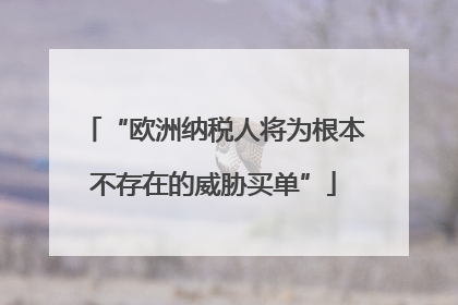 “欧洲纳税人将为根本不存在的威胁买单”