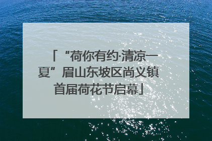 “荷你有约·清凉一夏”眉山东坡区尚义镇首届荷花节启幕