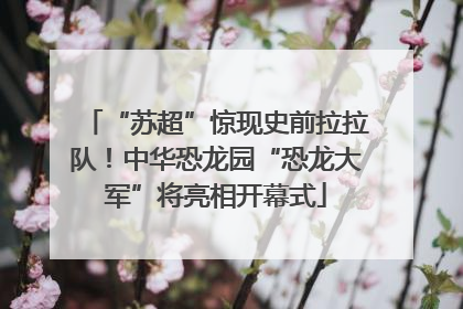 “苏超”惊现史前拉拉队！中华恐龙园“恐龙大军”将亮相开幕式