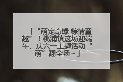 “萌宠奇缘 粽情童趣”！桃浦镇这场迎端午、庆六一主题活动“萌”翻全场～