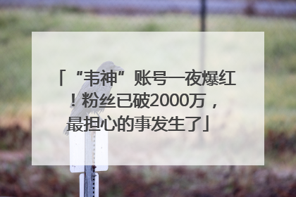 “韦神”账号一夜爆红！粉丝已破2000万，最担心的事发生了