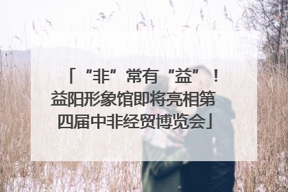 “非”常有“益”！益阳形象馆即将亮相第四届中非经贸博览会