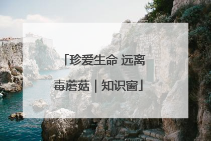 珍爱生命 远离毒蘑菇｜知识窗