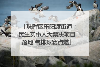 珠晖区东阳渡街道：民生实事人大票决项目落地 气排球赛点燃