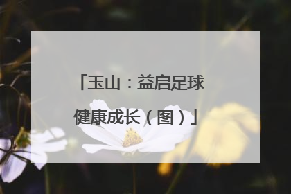 玉山：益启足球 健康成长（图）