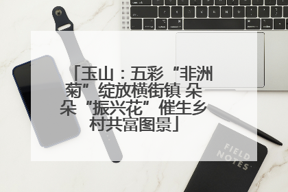 玉山：五彩“非洲菊”绽放横街镇 朵朵“振兴花”催生乡村共富图景