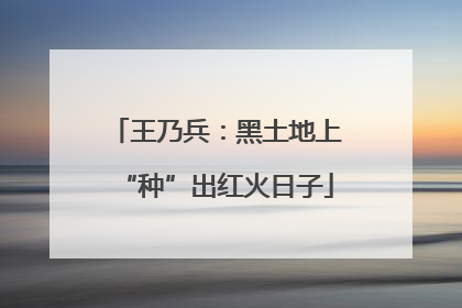 王乃兵：黑土地上“种”出红火日子