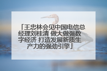 王忠林会见中国电信总经理刘桂清 做大做强数字经济 打造发展新质生产力的强劲引擎