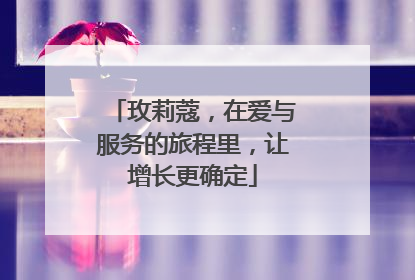 玫莉蔻，在爱与服务的旅程里，让增长更确定
